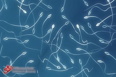 Spermokultura i spermogram - analiza semene tečnosti za 1000 din